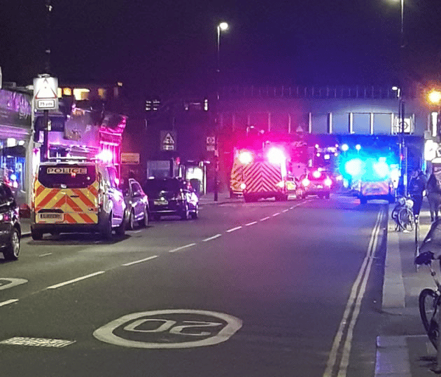 Person hit by a train at Turnham Green tube station – (ID 535351)